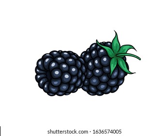 Beautiful cartoon blackberry, symbol of summer. design for holiday greeting card and invitation of seasonal summer holidays, beach parties, tourism and travel