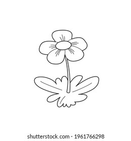Beautiful cartoon flower outline. Vector flat illustration isolated on white background