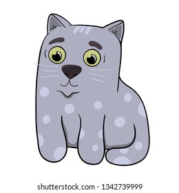 beautiful cartoon grey cat, vector illustration