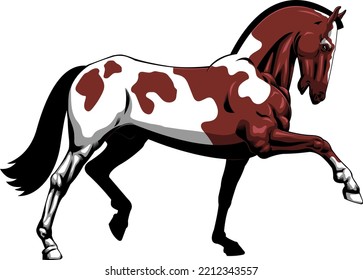 Beautiful Cartoon Horse Running. Vector Hand Drawn Illustration Isolated On Transparent Background