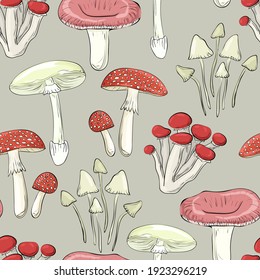 Beautiful cartoon mushrooms. Seamless pattern. Print for backgrounds, printing on fabric, paper, wallpaper, packaging.