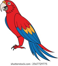 Beautiful Cartoon Parrot Nice Design