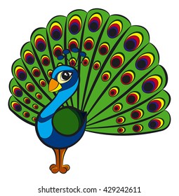 Beautiful cartoon peacock. Vector bird with amazing tail.