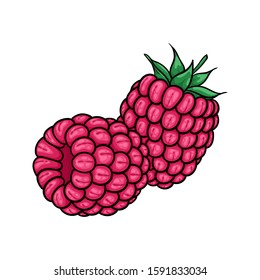 Beautiful cartoon pink raspberries with black contour, symbol of summer. design for holiday greeting card and invitation of seasonal summer holidays, beach parties, tourism and travel