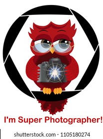 A beautiful cartoon red owl with a camera sits on the camera's diaphragm. Concept photography, vocations, photo business