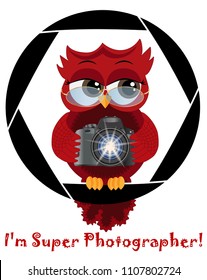 A beautiful cartoon red owl with a camera sits on the camera's diaphragm. Concept photography, vocations, photo business