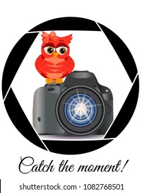 Beautiful cartoon red owl sits on the button Start the camera in the frame of the camera's aperture. Concept photography, vocations, photo business