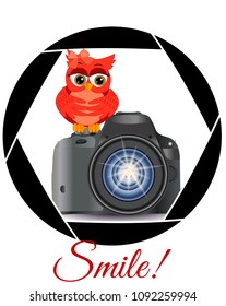 Beautiful cartoon red owl sits on the button Start the camera in the frame of the camera's aperture. Concept photography, vocations, photo business