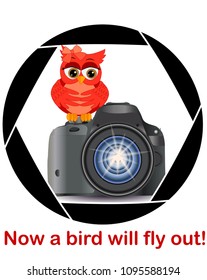 Beautiful cartoon red owl sits on the button Start the camera in the frame of the camera's aperture. Concept photography, vocations, photo business