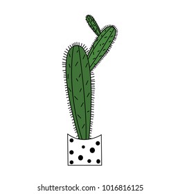 Beautiful cartoon style cactus in dotted pot on white background vector illustration