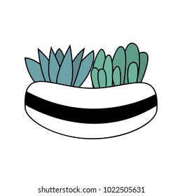 Beautiful cartoon style colorful succulents on white background vector illustration