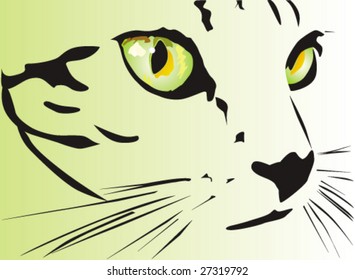 Beautiful cat