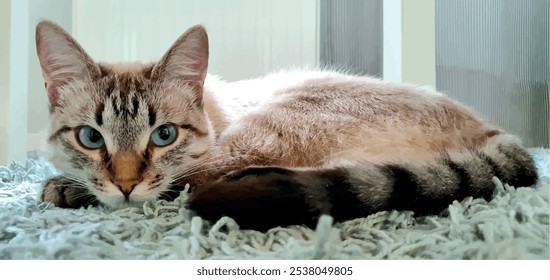 Un hermoso gato con ojos azules se encuentra en una alfombra en la casa. Encantadora mascota casera de gato. El gato se acurrucó en una pelota. Cuidar de los gatos. Comida para gatos, productos para mascotas. Ojus azules.