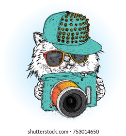 Un hermoso gato con una gorra, gafas y una cámara. Ilustración vectorial para una postal, póster o impresión. Ropa y accesorios.