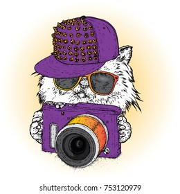 A beautiful cat in a cap, glasses and with a camera. Vector illustration for a postcard, poster or print. Clothes and accessories.