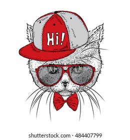 Beautiful cat with glasses and a cap. Vector illustration for a card or poster. Illustration for prints on clothes. Design. Cute kitten.