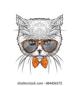 Beautiful cat in glasses and tie. Vector illustration for a card or poster. Illustration for prints on clothes. Design. Cute kitten.