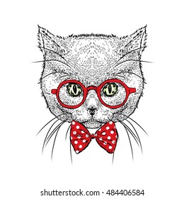 Beautiful cat in glasses   tie  Vector illustration for card poster  Illustration for prints clothes  Design  Cute kitten 