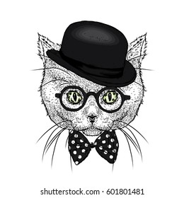 A beautiful cat with a hat, glasses and a tie. Vector illustration.