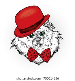 A beautiful cat with a hat and tie. Funny kitten. Vector illustration. Fashion, style, clothing and accessories.
