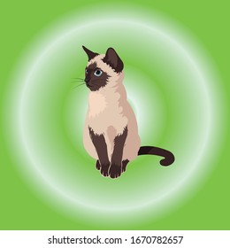 El diseño del logo del gato hermoso.