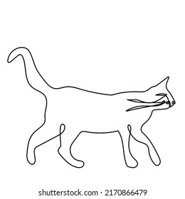 Beautiful cat in one line.