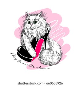 Beautiful cat in a shoe vector image