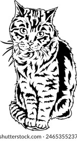 A beautiful cat sits. Vector outline illustration without background