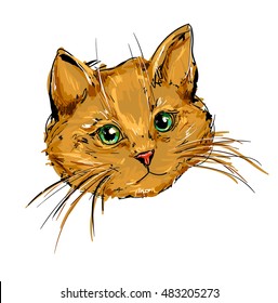 beautiful cat vector, cat illustration