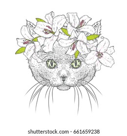 A beautiful cat in a wreath of lilies. Lovely kitten in a flower wreath. A purebred cat. Vector illustration for a postcard or a poster, print for clothes.