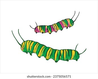 beautiful caterpillars vector illustration on white background