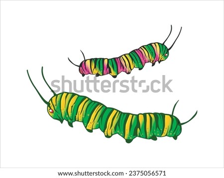 beautiful caterpillars vector illustration on white background