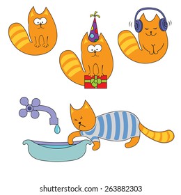 Beautiful cats are celebrating their birthday, listening to music and washing