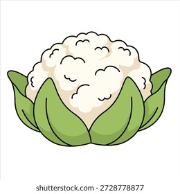 Ein schönes Blumenkohl Illustration Vektor Gemüse