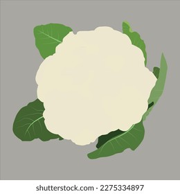 Una hermosa obra de arte vectorial de flores de coliflor.