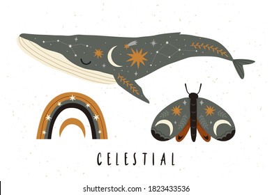 Beautiful celestial set with rainbow, stars, moon, moth and whaleisolated on white background. Celestial set for kid's nursery posters, cards, invites. Vector celestial set