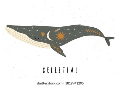 Beautiful celestial whale with stars, moon, constellations isolated on white background. Cosmic whale nursery poster. Vector celestial whale