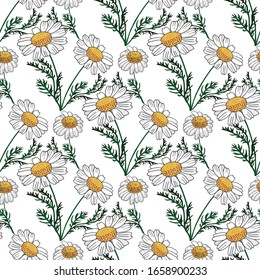 Beautiful chamomile flowers seamless pattern. Vector cartoon background.