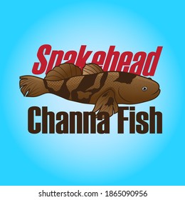 Beautiful Channa Snakehead Fish vector illustration for sign symbol for business and element sea artwork