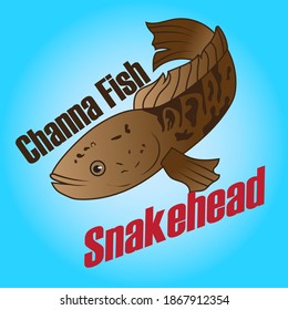 Schöne Channa Snakehead Fisch-Vektorgrafik für Zeichen-Symbol für Business und Element-Meereskunst