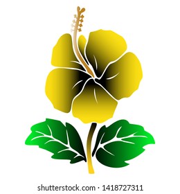 beautiful and charming hibiscus vector image