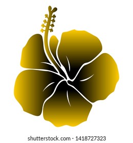 beautiful and charming hibiscus vector image