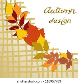 beautiful checkered background of bright autumn leaves