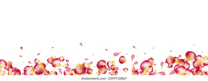 Beautiful Cherry Beauty Vector Panoramic White Background. Japanese Petal Pattern. Red Blossom Summer Poster. Delicate Rose Flying Illustration.
