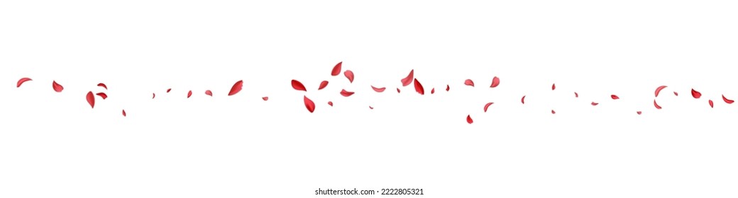 Beautiful Cherry Beauty Vector White Panoramic Background. Summer Rose Pattern. Pink Blossom Fall Template. Red Sakura Flying Frame.