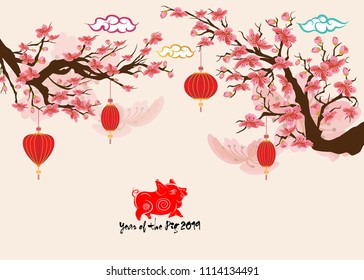 Beautiful cherry blossom background design. Year of the pig