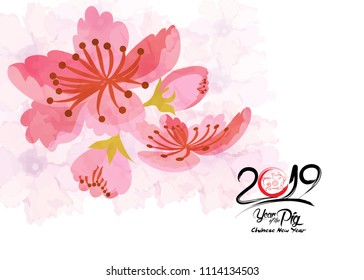 Beautiful cherry blossom background design. Year of the pig