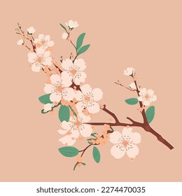 Beautiful Cherry blossom branch in flat style, illustration