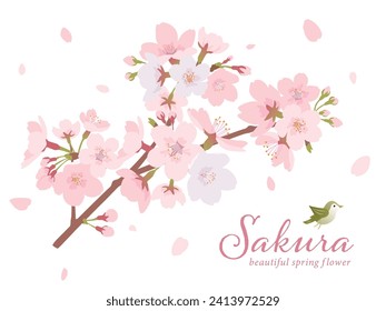 beautiful cherry blossom branch vector illustration.