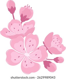 A Beautiful Cherry Blossom Flower Border. Flat and Simple Pink Sakura.